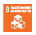 Impacted SDG