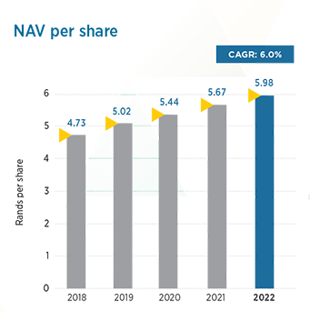 NAV per share